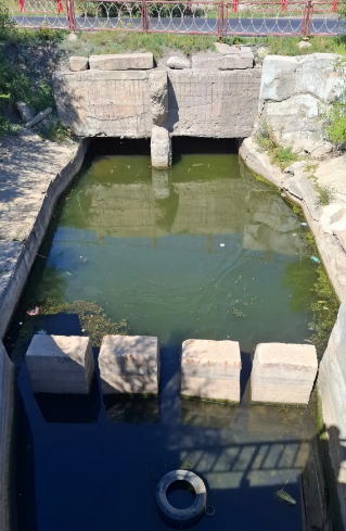Карагандинцы обеспокоены массовой гибелью рыбы на Фёдоровском водохранилище